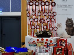 Spéciales d'élevage LOOF &raquo; 2019 Péronnas