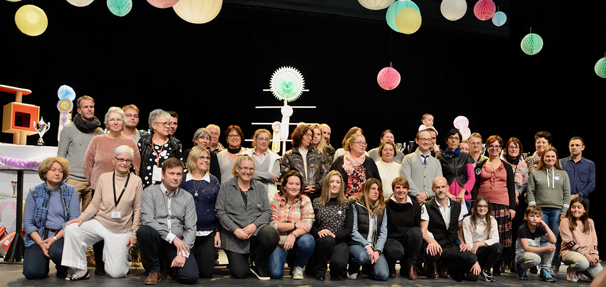 Mortagne-au-Perche (61)